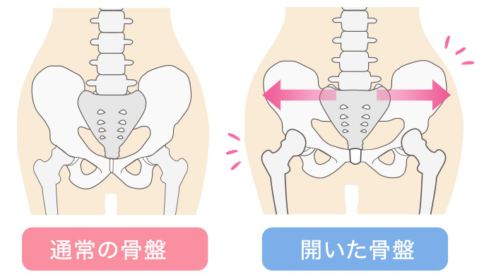 マジカルシェリーでぽっこりお腹を解消！くるくる丸まる原因と対策