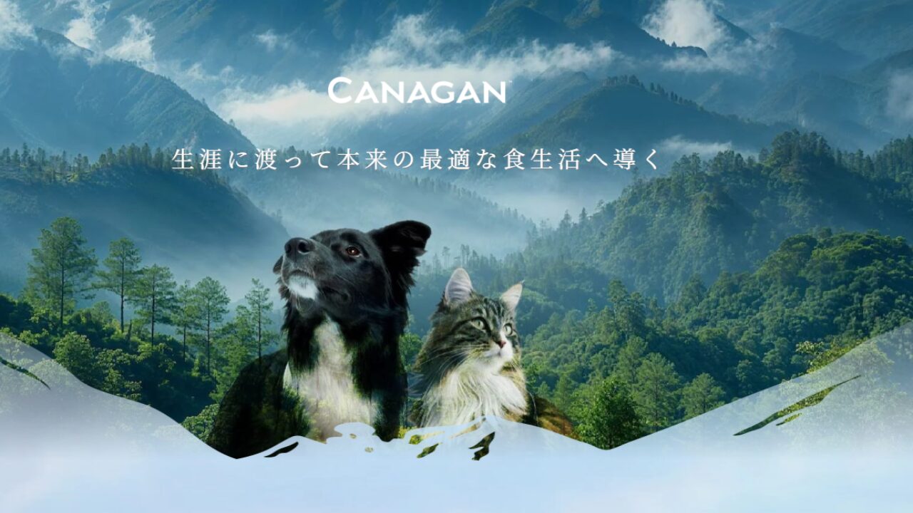 カナガンウェットフード 犬