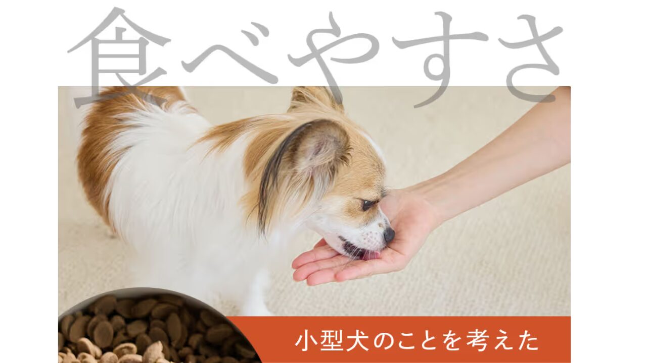 ミシュワン小型犬用 量