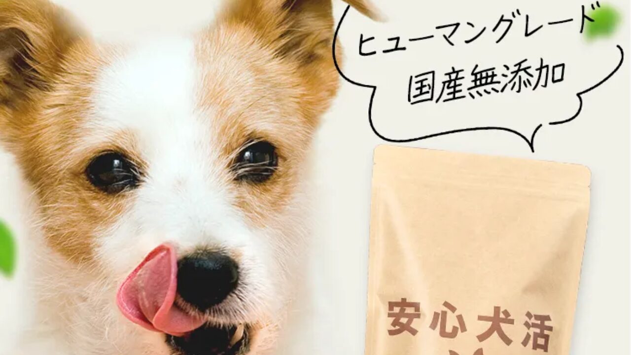 安心犬活 量